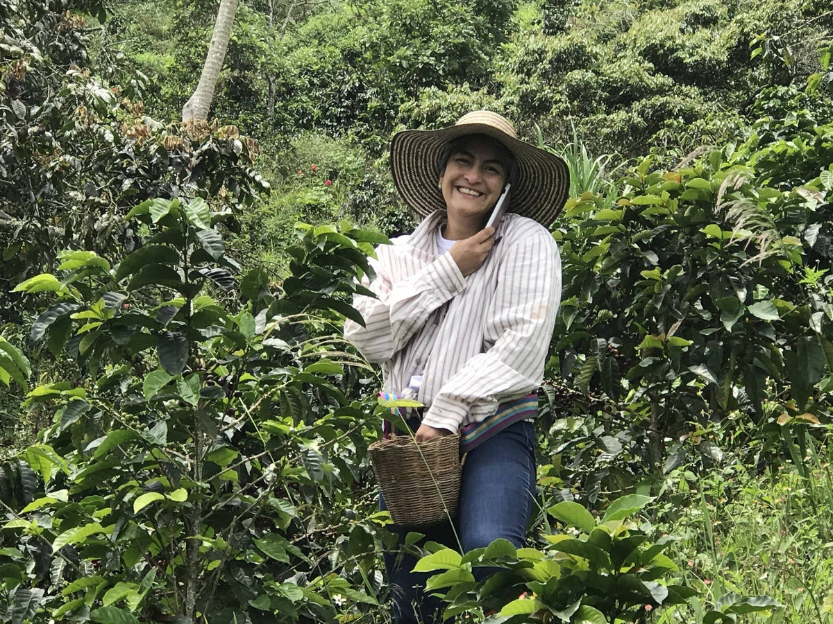 recoleccion-finca.jpg